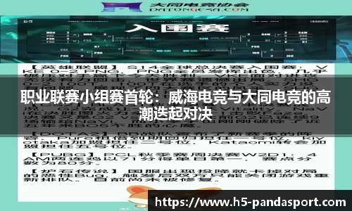 熊猫体育平台