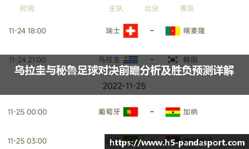 熊猫体育官网